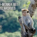 Albino-Monkey.net Travel Archives: Embark on a Virtual Journey