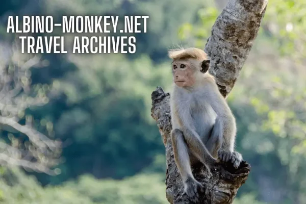 Albino-Monkey.net Travel Archives: Embark on a Virtual Journey