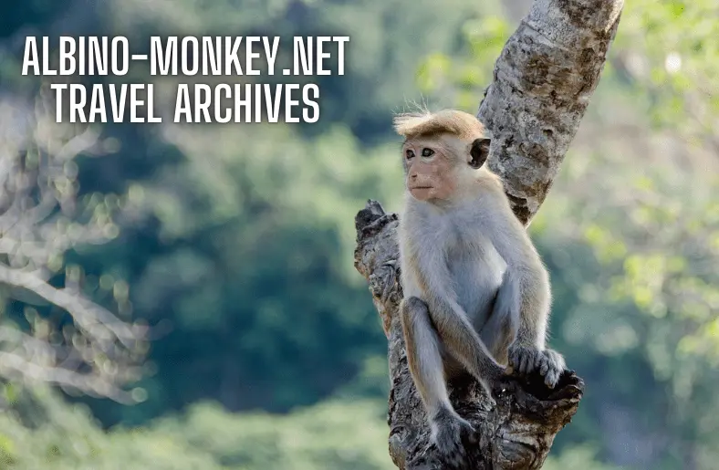 Albino-Monkey.net Travel Archives: Embark on a Virtual Journey