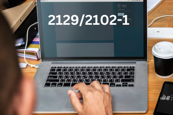 2129/2102-1 Simplified: Essential for German Tax Compliance