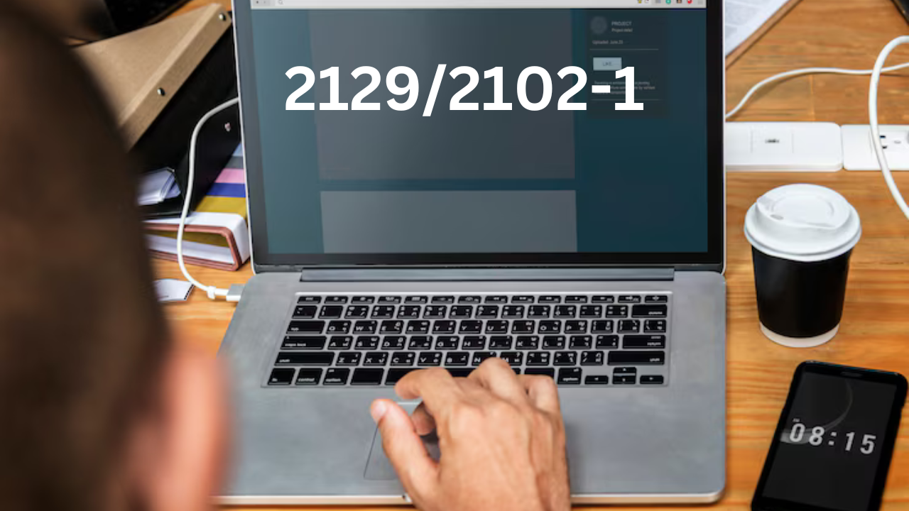 2129/2102-1 Simplified: Essential for German Tax Compliance