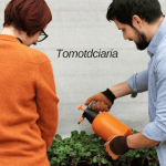 The Ultimate Guide to Tomotdciaria: Benefits, Care, and Cultivation