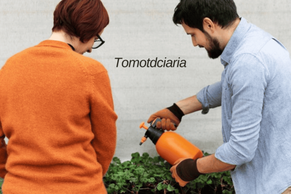 The Ultimate Guide to Tomotdciaria: Benefits, Care, and Cultivation