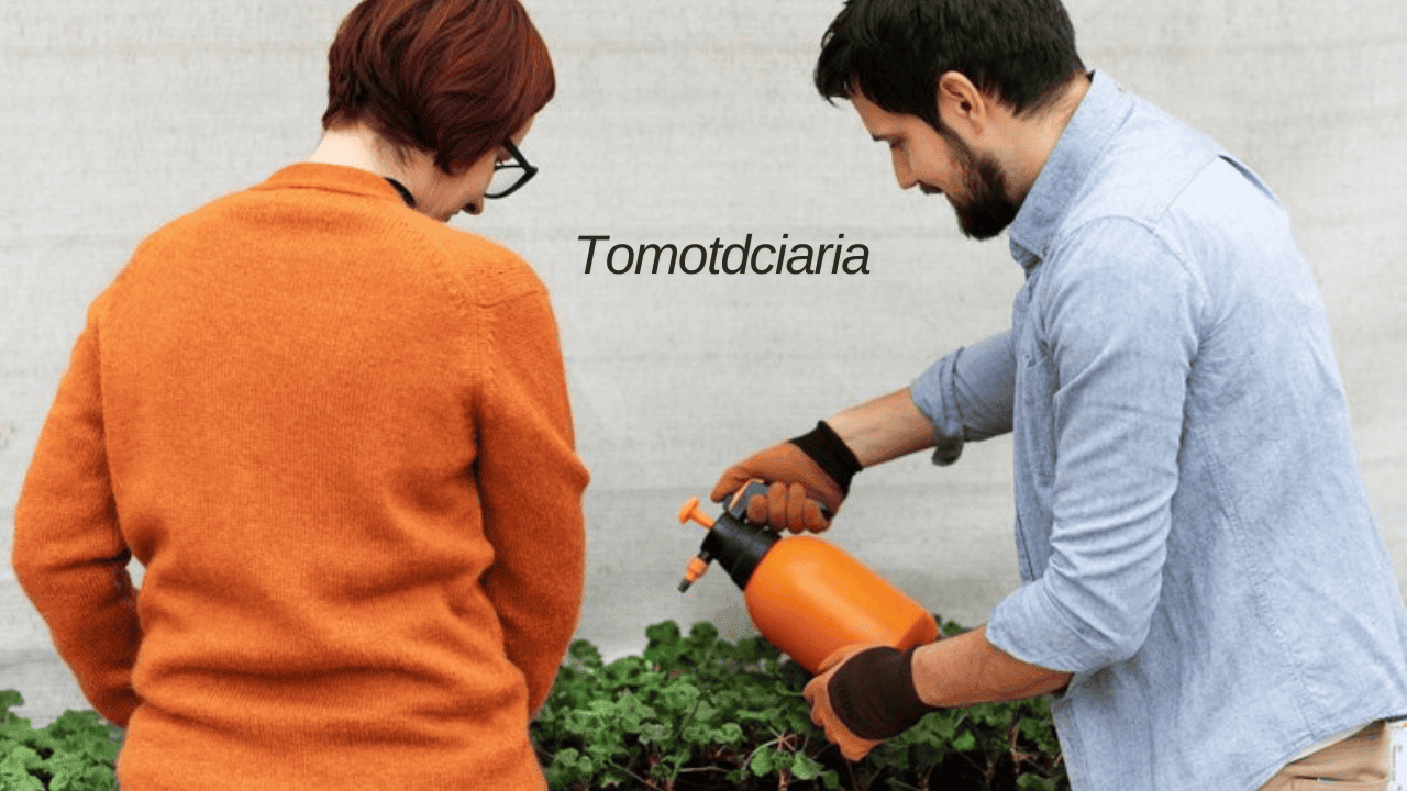 The Ultimate Guide to Tomotdciaria: Benefits, Care, and Cultivation