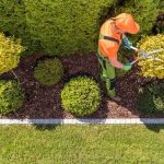 Always Green Landscaping: Myrtle Beach's Premier Lawn Care Service