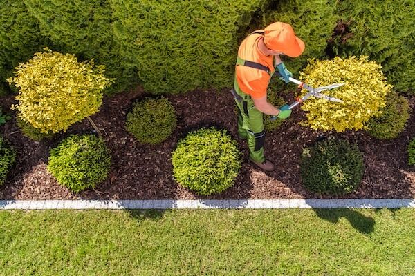 Always Green Landscaping: Myrtle Beach's Premier Lawn Care Service