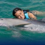 Dive into the Magic of Dolphin Discovery: Unforgettable Marine Adventures