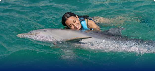 Dive into the Magic of Dolphin Discovery: Unforgettable Marine Adventures